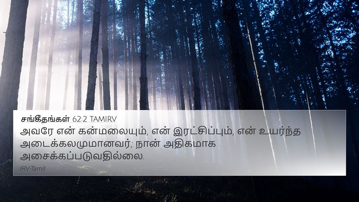 சங்கீதங்கள் 62:2 TAMIRV Bible Verse Image