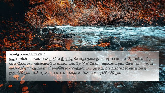 சங்கீதங்கள் 63:1 TAMIRV Bible Verse Image