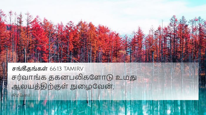 சங்கீதங்கள் 66:13 TAMIRV Bible Verse Image