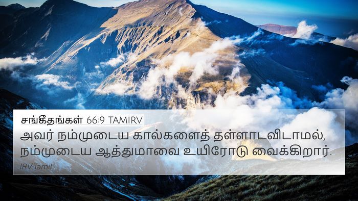 சங்கீதங்கள் 66:9 TAMIRV Bible Verse Image