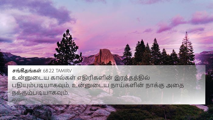 சங்கீதங்கள் 68:22 TAMIRV Bible Verse Image
