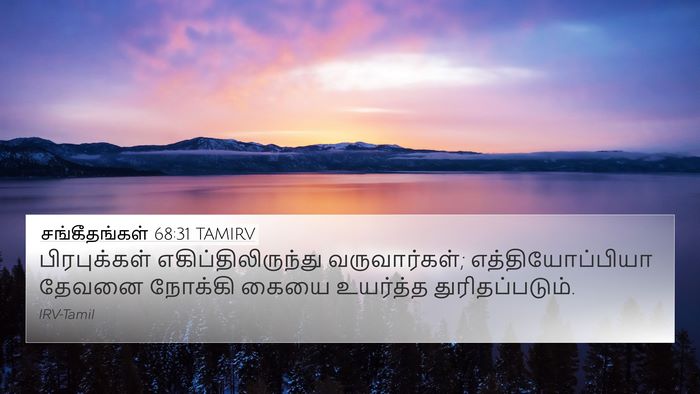 சங்கீதங்கள் 68:31 TAMIRV Bible Verse Image
