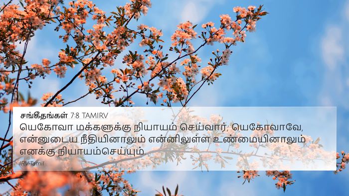 சங்கீதங்கள் 7:8 TAMIRV Bible Verse Image
