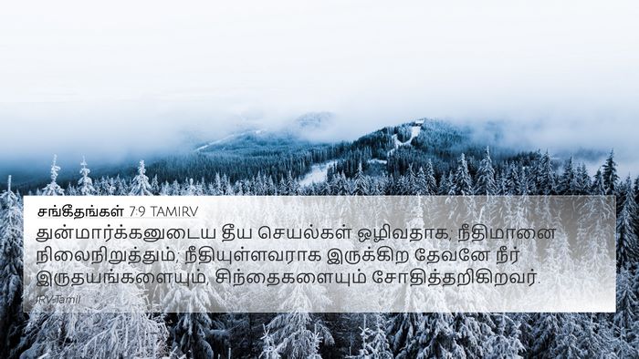 சங்கீதங்கள் 7:9 TAMIRV Bible Verse Image