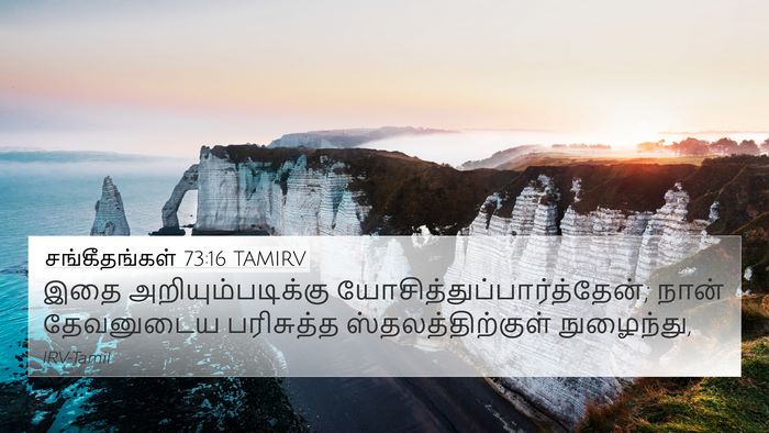 சங்கீதங்கள் 73:16 TAMIRV Bible Verse Image