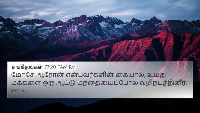 சங்கீதங்கள் 77:20 TAMIRV Bible Verse Image