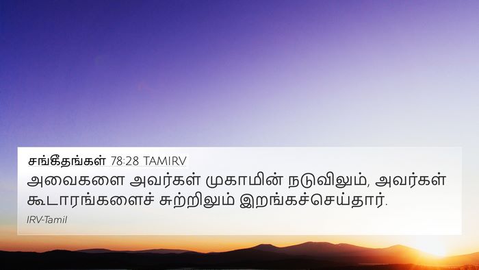 சங்கீதங்கள் 78:28 TAMIRV 4K Wallpaper - அவைகளை அவர்கள் - 4K Wallpaper Bible Verse