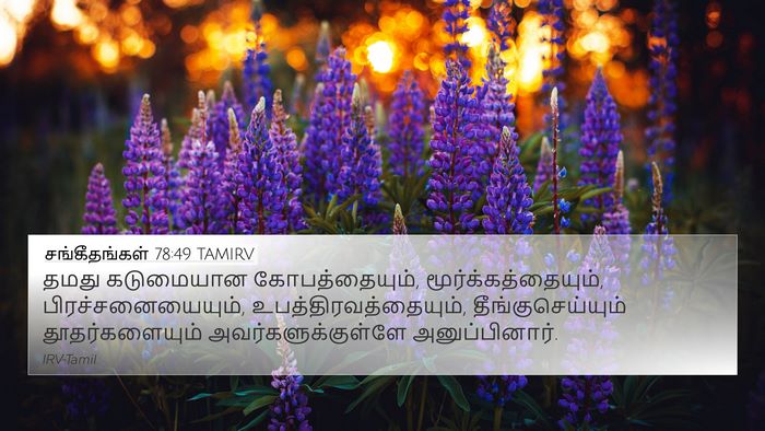 சங்கீதங்கள் 78:49 TAMIRV Bible Verse Image