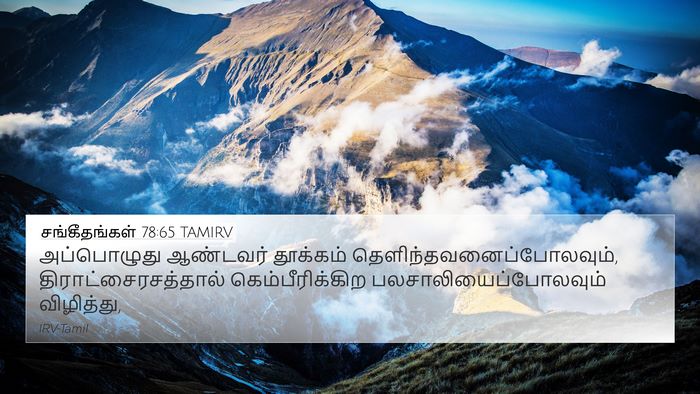 சங்கீதங்கள் 78:65 TAMIRV Bible Verse Image