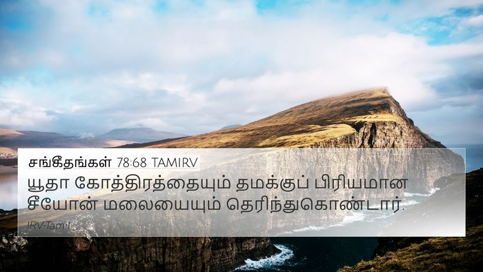 சங்கீதங்கள் 78:68 TAMIRV Bible Verse Image