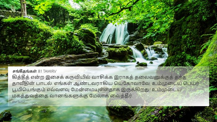 சங்கீதங்கள் 8:1 TAMIRV Bible Verse Image