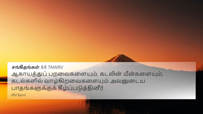 சங்கீதங்கள் 8:8 TAMIRV Bible Verse Image