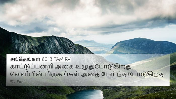 சங்கீதங்கள் 80:13 TAMIRV Bible Verse Image