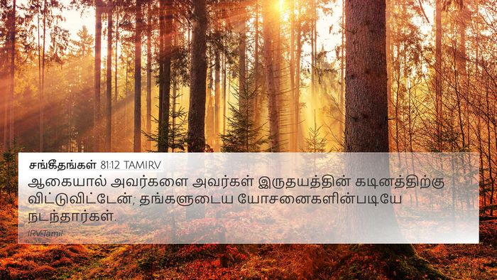 சங்கீதங்கள் 81:12 TAMIRV Bible Verse Image