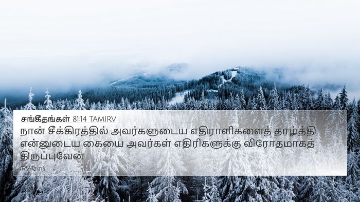 சங்கீதங்கள் 81:14 TAMIRV Bible Verse Image