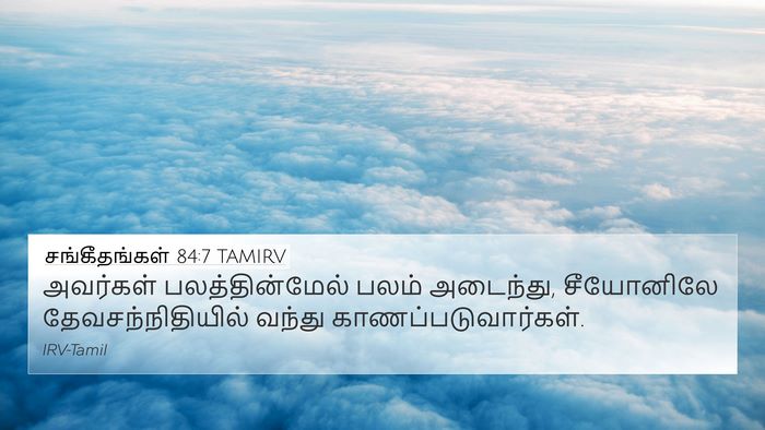சங்கீதங்கள் 84:7 TAMIRV Bible Verse Image