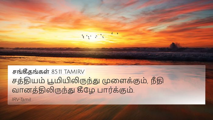 சங்கீதங்கள் 85:11 TAMIRV Bible Verse Image