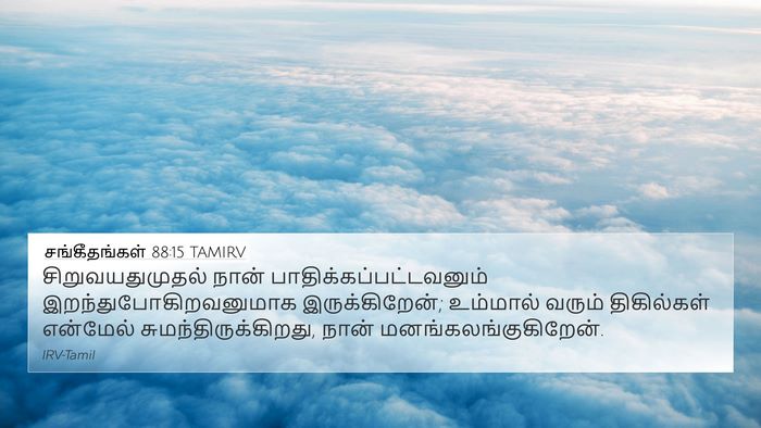 சங்கீதங்கள் 88:15 TAMIRV Bible Verse Image