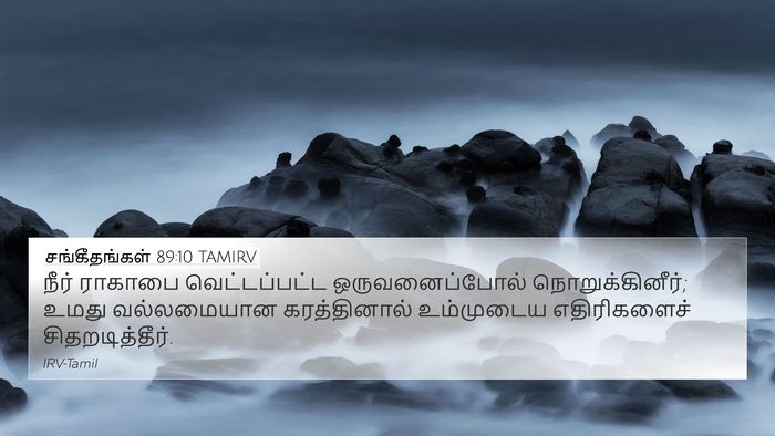 சங்கீதங்கள் 89:10 TAMIRV Bible Verse Image