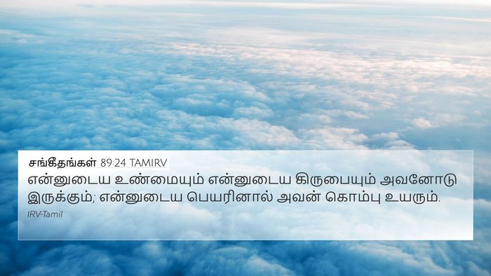 சங்கீதங்கள் 89:24 TAMIRV Bible Verse Image