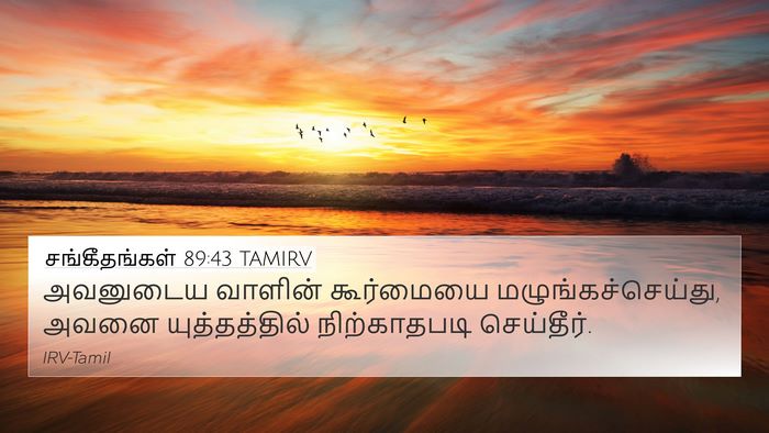 சங்கீதங்கள் 89:43 TAMIRV 4K Wallpaper - அவனுடைய வாளின் - 4K Wallpaper Bible Verse