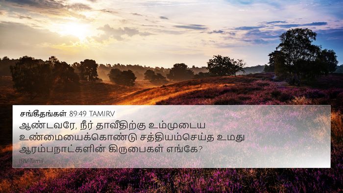 சங்கீதங்கள் 89:49 TAMIRV Bible Verse Image