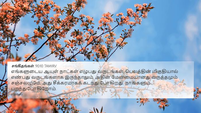 சங்கீதங்கள் 90:10 TAMIRV Bible Verse Image