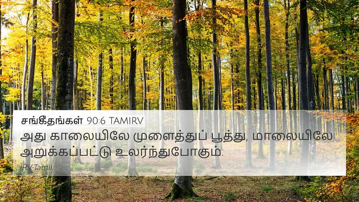 சங்கீதங்கள் 90:6 TAMIRV Bible Verse Image