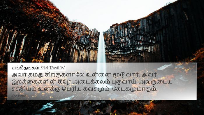 சங்கீதங்கள் 91:4 TAMIRV Bible Verse Image