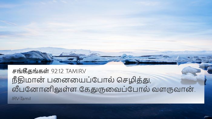 சங்கீதங்கள் 92:12 TAMIRV Bible Verse Image