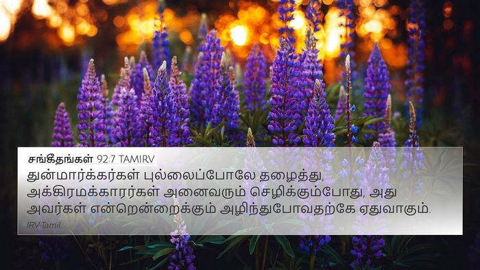 சங்கீதங்கள் 92:7 TAMIRV Bible Verse Image