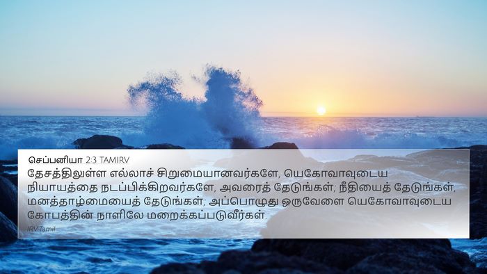 செப்பனியா 2:3 TAMIRV Bible Verse Image