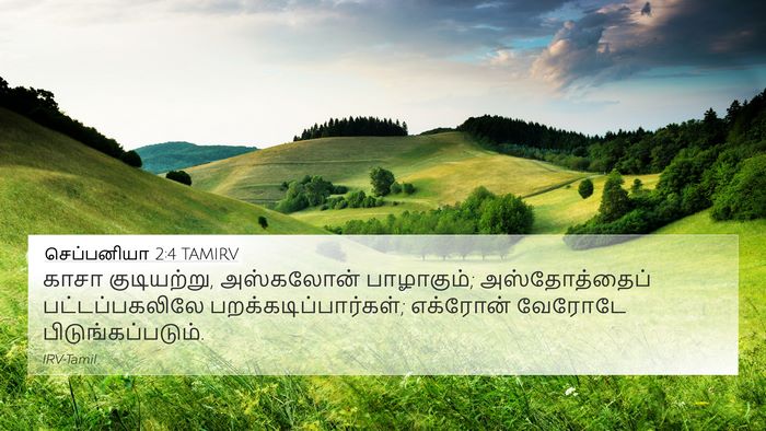 செப்பனியா 2:4 TAMIRV Bible Verse Image