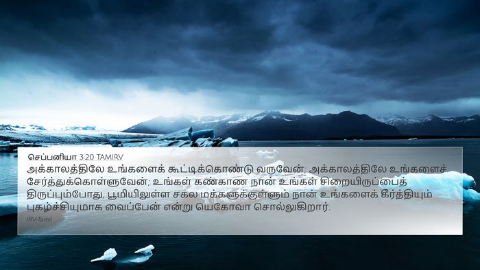 செப்பனியா 3:20 TAMIRV Bible Verse Image