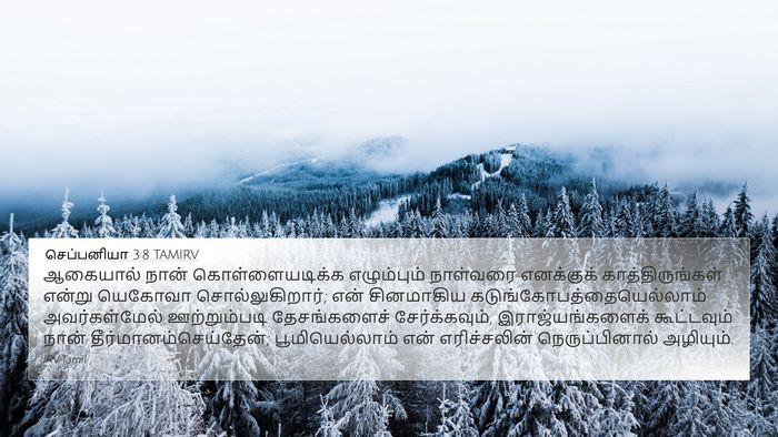 செப்பனியா 3:8 TAMIRV Bible Verse Image