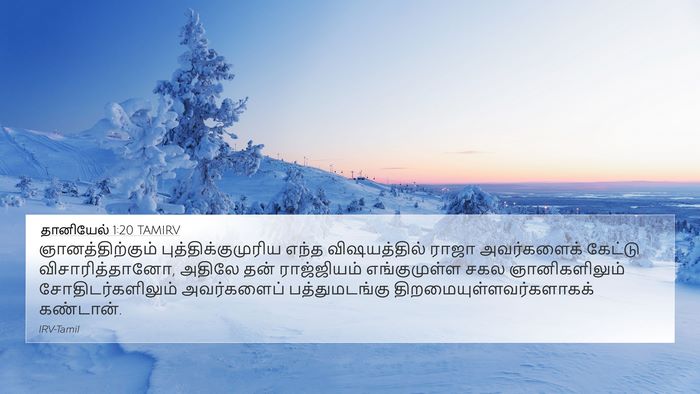 தானியேல் 1:20 TAMIRV Bible Verse Image