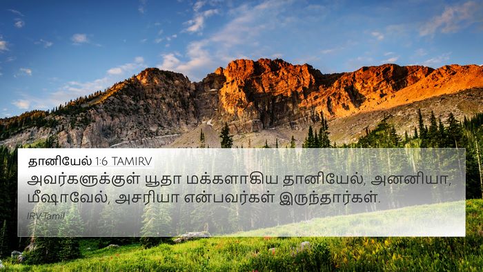 தானியேல் 1:6 TAMIRV Bible Verse Image