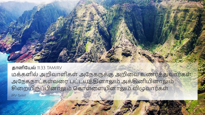 தானியேல் 11:33 TAMIRV Bible Verse Image