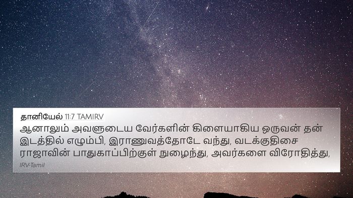 தானியேல் 11:7 TAMIRV Bible Verse Image