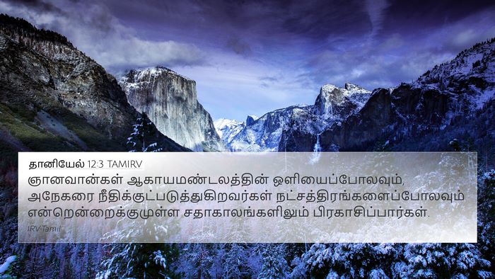 தானியேல் 12:3 TAMIRV Bible Verse Image