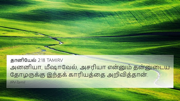 தானியேல் 2:18 TAMIRV Bible Verse Image