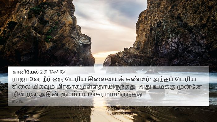 தானியேல் 2:31 TAMIRV Bible Verse Image