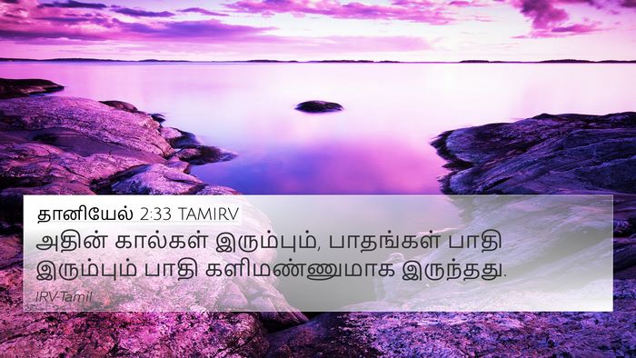 தானியேல் 2:33 TAMIRV Bible Verse Image