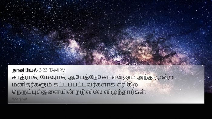 தானியேல் 3:23 TAMIRV 4K Wallpaper - சாத்ராக், மேஷாக், - 4K Wallpaper Bible Verse