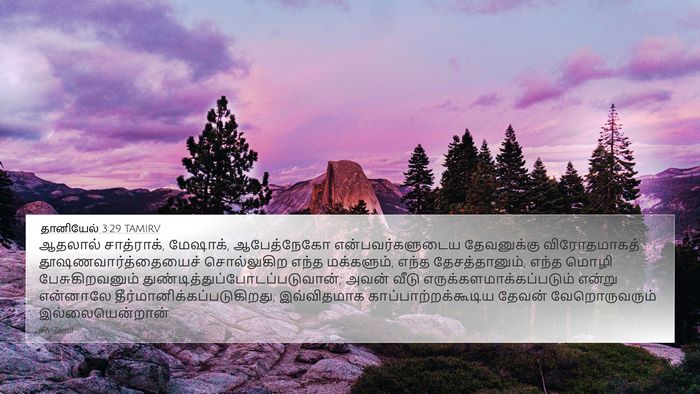 தானியேல் 3:29 TAMIRV Bible Verse Image