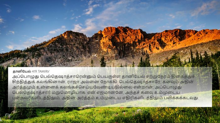 தானியேல் 4:19 TAMIRV Bible Verse Image