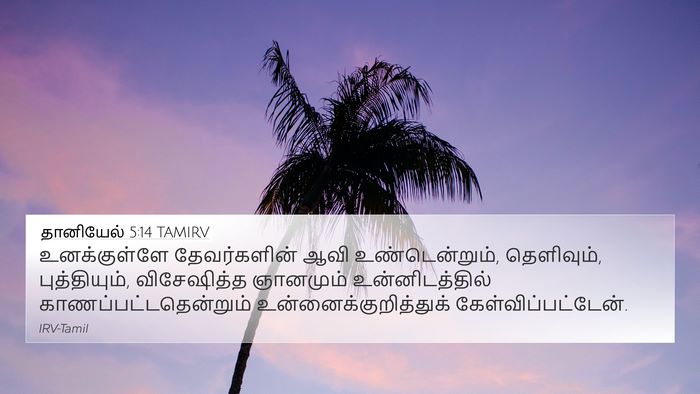 தானியேல் 5:14 TAMIRV Bible Verse Image