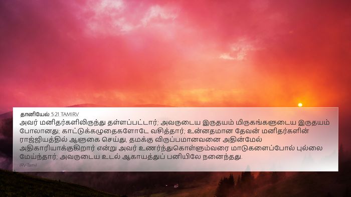 தானியேல் 5:21 TAMIRV Bible Verse Image