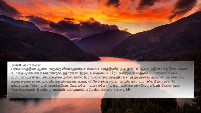 தானியேல் 5:23 TAMIRV Bible Verse Image