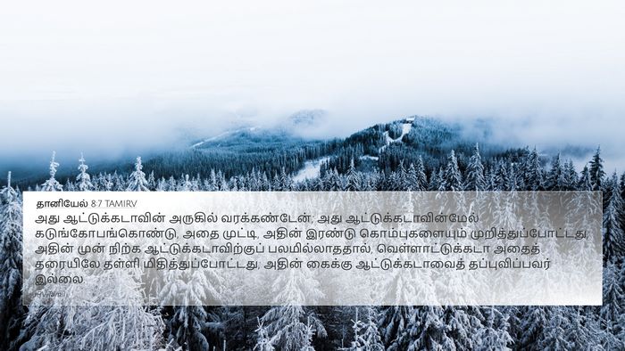 தானியேல் 8:7 TAMIRV Bible Verse Image